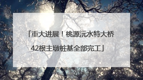 重大进展！桃源沅水特大桥42根主墩桩基全部完工