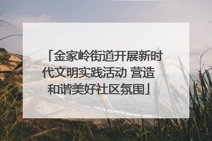 金家岭街道开展新时代文明实践活动 营造和谐美好社区氛围
