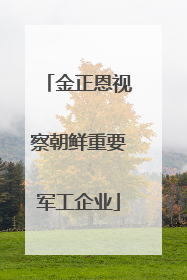 金正恩视察朝鲜重要军工企业