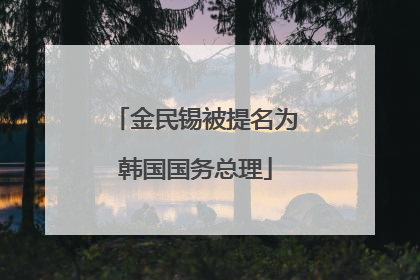 金民锡被提名为韩国国务总理