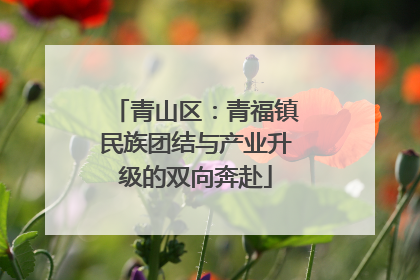 青山区：青福镇民族团结与产业升级的双向奔赴