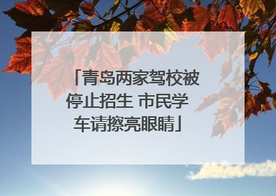 青岛两家驾校被停止招生 市民学车请擦亮眼睛