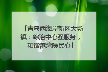 青岛西海岸新区大场镇：综治中心强服务，和谐港湾暖民心
