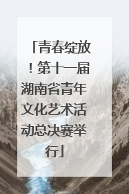 青春绽放！第十一届湖南省青年文化艺术活动总决赛举行