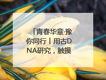 青春华章·豫你同行丨用古DNA研究，触摸藏在大学里的“上下五千年”