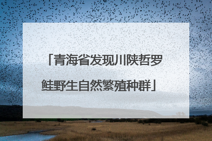 青海省发现川陕哲罗鲑野生自然繁殖种群