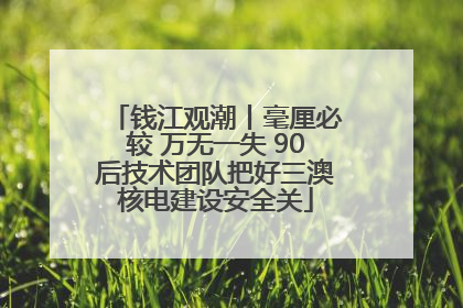 钱江观潮丨毫厘必较 万无一失 90后技术团队把好三澳核电建设安全关