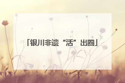 银川非遗“活”出圈