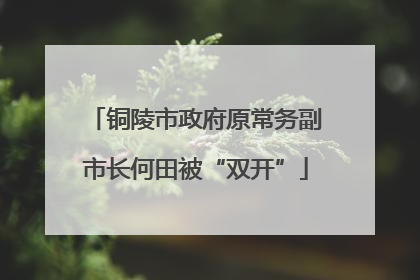 铜陵市政府原常务副市长何田被“双开”