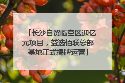 长沙自贸临空区迎亿元项目，益选佰联总部基地正式揭牌运营