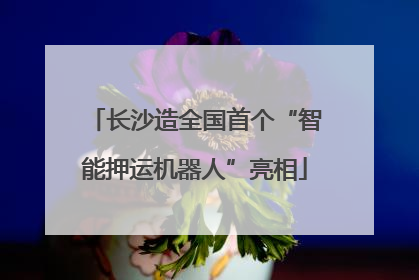 长沙造全国首个“智能押运机器人”亮相