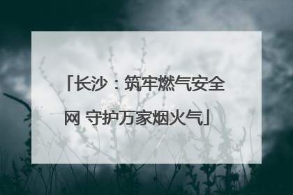 长沙：筑牢燃气安全网 守护万家烟火气