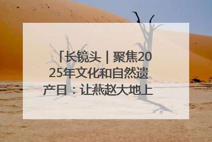长镜头｜聚焦2025年文化和自然遗产日：让燕赵大地上的文物绽放新光彩