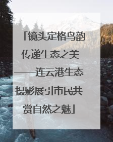 镜头定格鸟韵 传递生态之美——连云港生态摄影展引市民共赏自然之魅