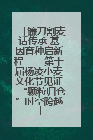 镰刀割麦话传承 基因育种启新程——第十届杨凌小麦文化节见证“颗粒归仓”时空跨越