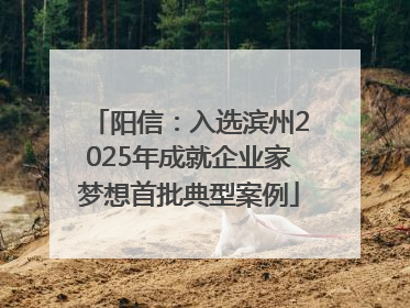 阳信：入选滨州2025年成就企业家梦想首批典型案例