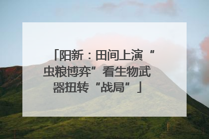 阳新：田间上演“虫粮博弈”看生物武器扭转“战局”