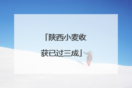 陕西小麦收获已过三成