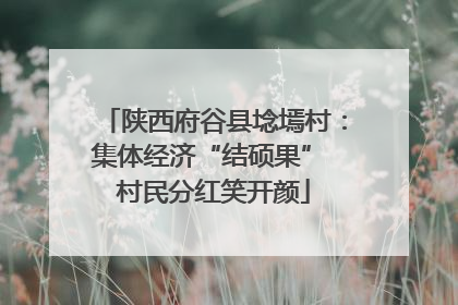 陕西府谷县埝墕村：集体经济“结硕果” 村民分红笑开颜