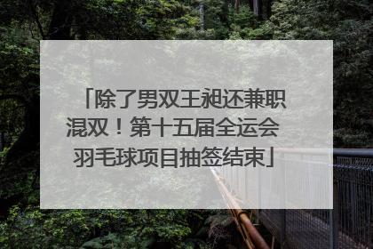 除了男双王昶还兼职混双！第十五届全运会羽毛球项目抽签结束
