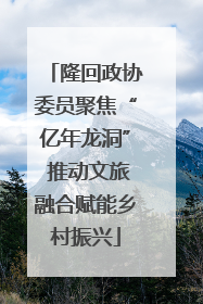 隆回政协委员聚焦“亿年龙洞” 推动文旅融合赋能乡村振兴