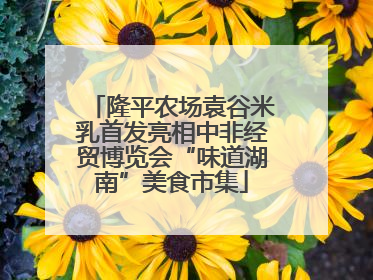 隆平农场袁谷米乳首发亮相中非经贸博览会“味道湖南”美食市集