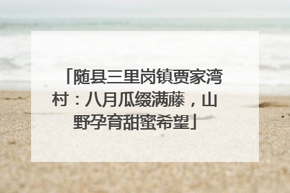 随县三里岗镇贾家湾村：八月瓜缀满藤，山野孕育甜蜜希望