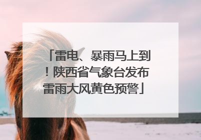 雷电、暴雨马上到！陕西省气象台发布雷雨大风黄色预警