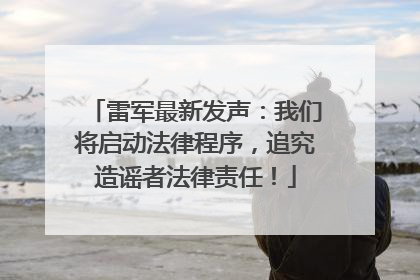 雷军最新发声：我们将启动法律程序，追究造谣者法律责任！