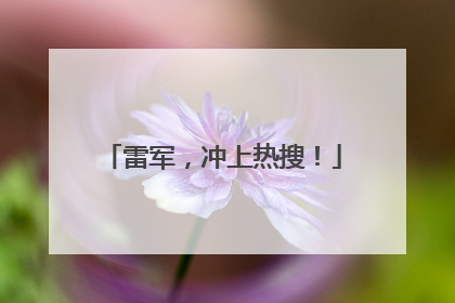 雷军，冲上热搜！