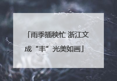 雨季插秧忙 浙江文成“丰”光美如画