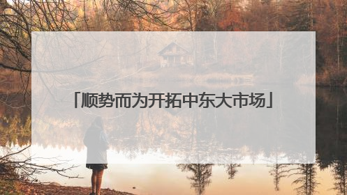 顺势而为开拓中东大市场