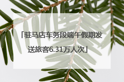 驻马店车务段端午假期发送旅客6.31万人次