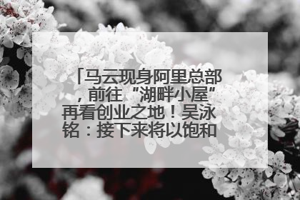 马云现身阿里总部，前往“湖畔小屋”再看创业之地！吴泳铭：接下来将以饱和式投入的打法，聚焦于几大核心战役