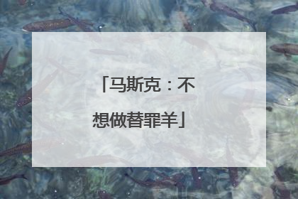 马斯克：不想做替罪羊
