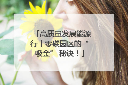 高质量发展能源行丨零碳园区的“吸金” 秘诀！