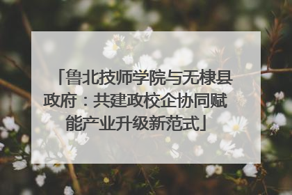 鲁北技师学院与无棣县政府：共建政校企协同赋能产业升级新范式