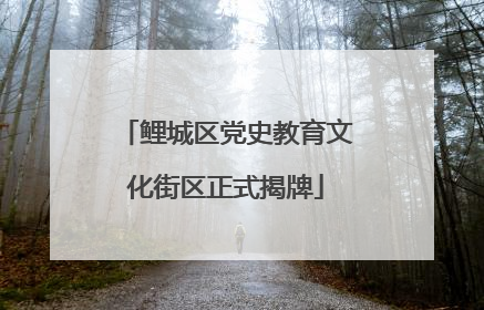鲤城区党史教育文化街区正式揭牌