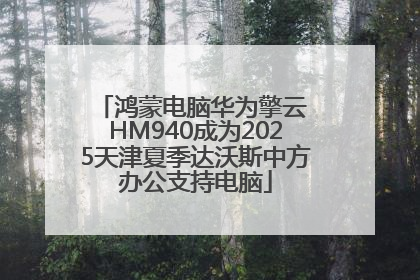 鸿蒙电脑华为擎云 HM940成为2025天津夏季达沃斯中方办公支持电脑