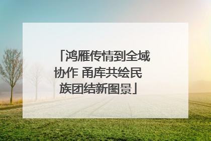鸿雁传情到全域协作 甬库共绘民族团结新图景