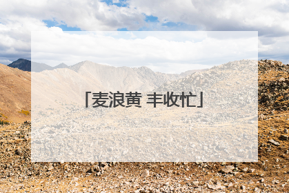麦浪黄 丰收忙