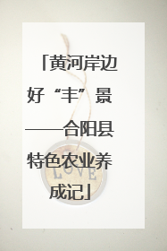黄河岸边好“丰”景——合阳县特色农业养成记