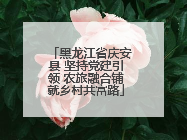 黑龙江省庆安县 坚持党建引领 农旅融合铺就乡村共富路