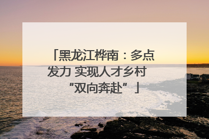 黑龙江桦南：多点发力 实现人才乡村“双向奔赴”