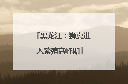 黑龙江：狮虎进入繁殖高峰期