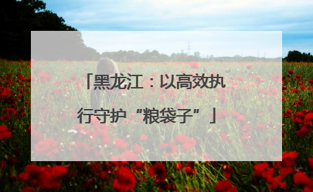 黑龙江：以高效执行守护“粮袋子”