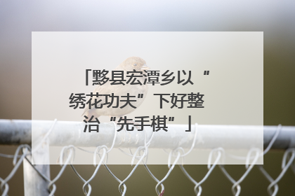 黟县宏潭乡以“绣花功夫”下好整治“先手棋”