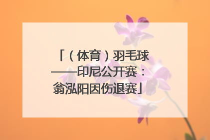 （体育）羽毛球——印尼公开赛：翁泓阳因伤退赛