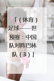 （体育）足球——世预赛：中国队对阵巴林队（3）