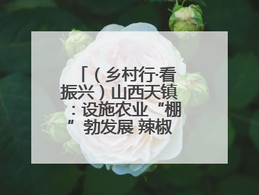 （乡村行·看振兴）山西天镇：设施农业“棚”勃发展 辣椒产业蓄势待发